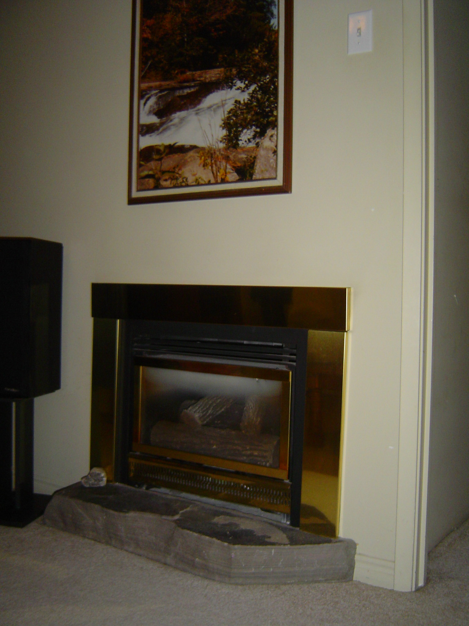 Snuggle up with a good book in front of the gas fireplace